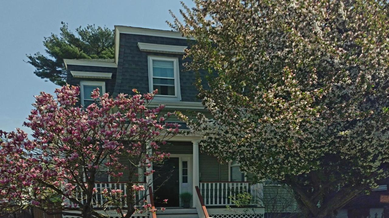 2 Bedroom Boston Condo In Jamaica Plain With Parking Exterior photo